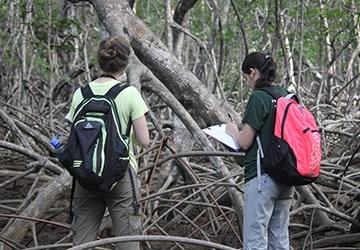 Two students taking notes in a forest, while observing trees